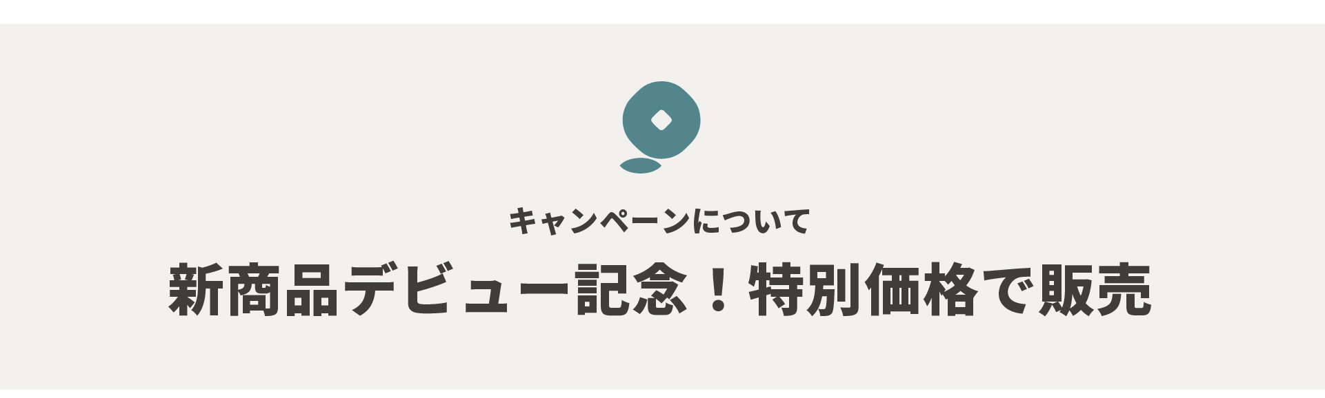 キャンペーンについて　新商品デビュー記念　特別価格で販売